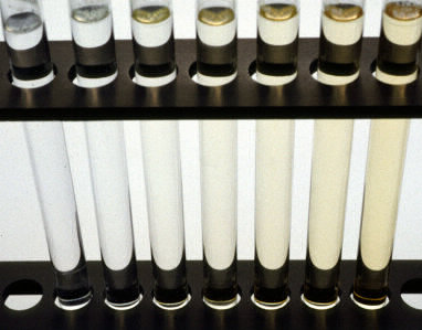 鉑鈷溶液 鉑鈷溶液